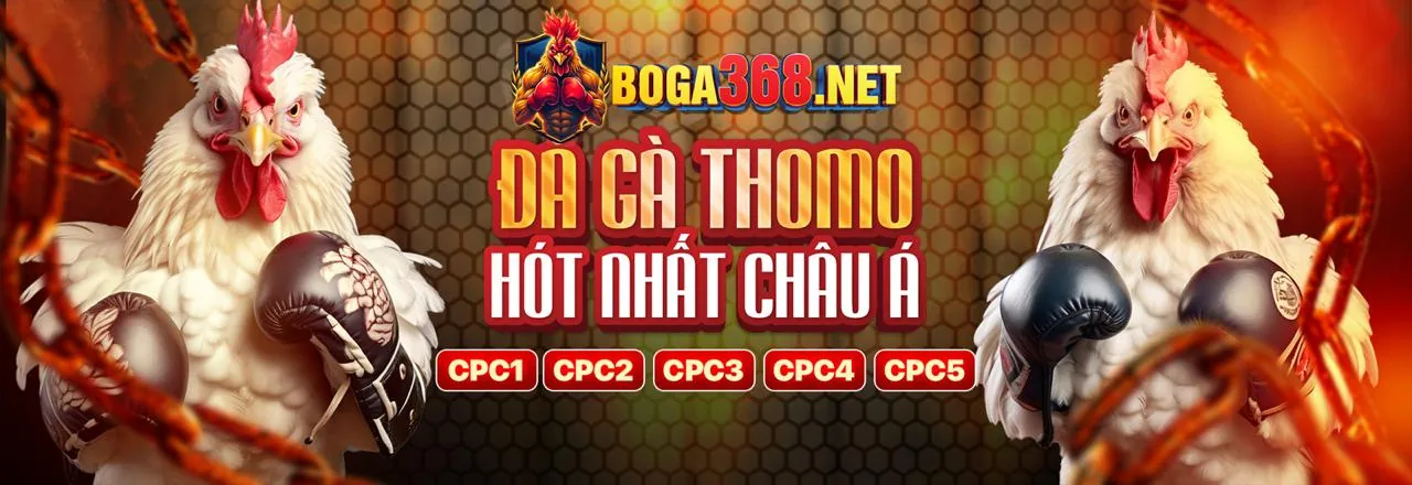 Hình ảnh tổng quan tin tức ke9f với các thông báo và ưu đãi mới nhất
